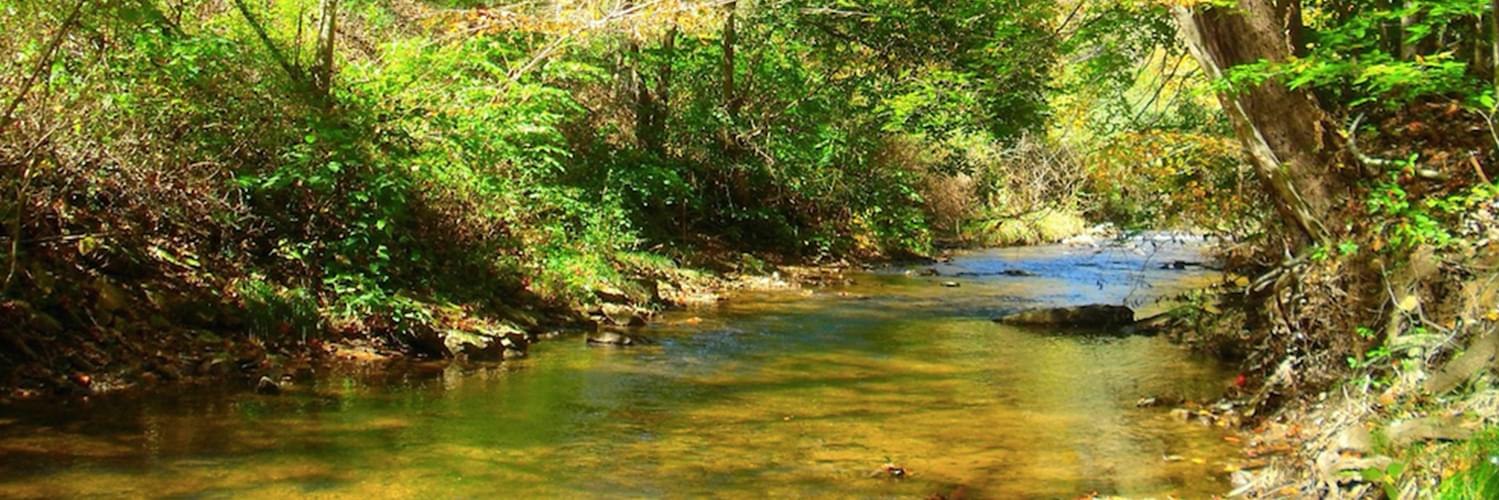 Discover Your Dream Home with This Inwood, WV Real Estate Guide